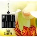 Náplň do velkoprostorového osvěžovače Spring Air (IconoScent, ArtyScent) - WHITE ORCHID (500ml)