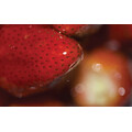 Spring Air náplň do osvěžovače - STRAWBERRY DELIGHT (250ml)