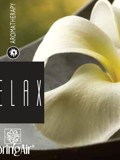 Náplň do velkoprostorového osvěžovače Spring Air (IconoScent, ArtyScent) - RELAX (500ml)