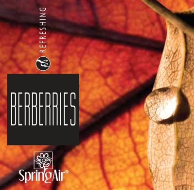Spring Air náplň do osvěžovače - BERBERRIES (250ml)