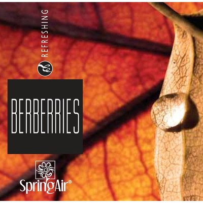 Náplň do velkoprostorového osvěžovače Spring Air (IconoScent, ArtyScent) - BERBERRIES (500ml)