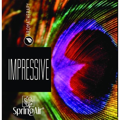 Náplň do velkoprostorového osvěžovače Spring Air (CryptoScent) - IMPRESSIVE (1000ml)
