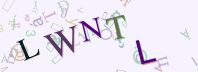 Ochrana proti spamu (CAPTCHA)