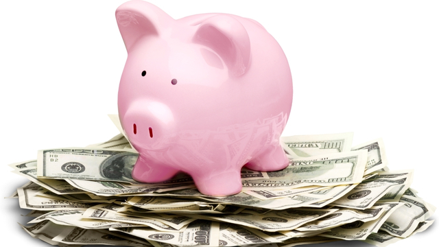 Náklady na pořízení a provoz vysokotlakého čističe – ilustrační prasátko na bankovkách